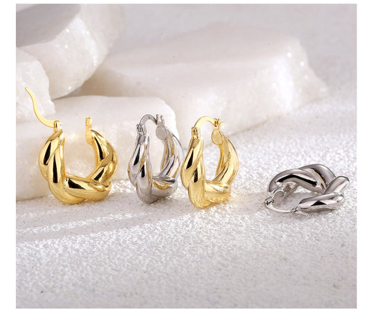 [DF]Temperament twist earrings cold style high-end gift light luxury niche net red earrings Korean jewelry